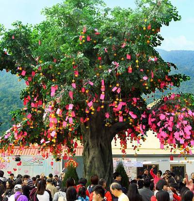 Lam Tsuen Wishing Tree