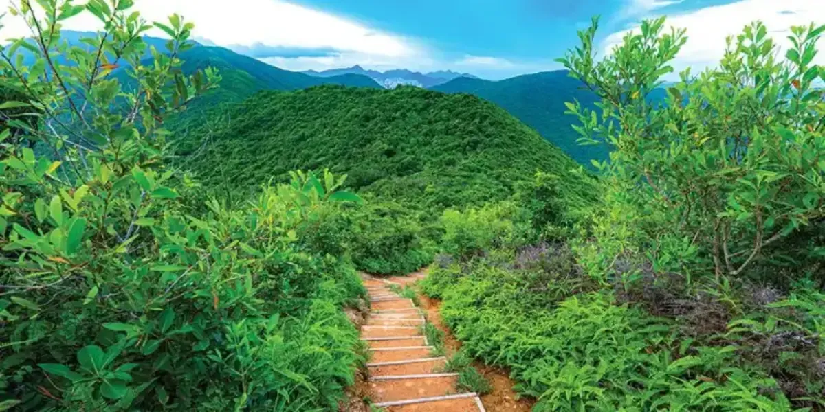 Pottinger Gap Hike