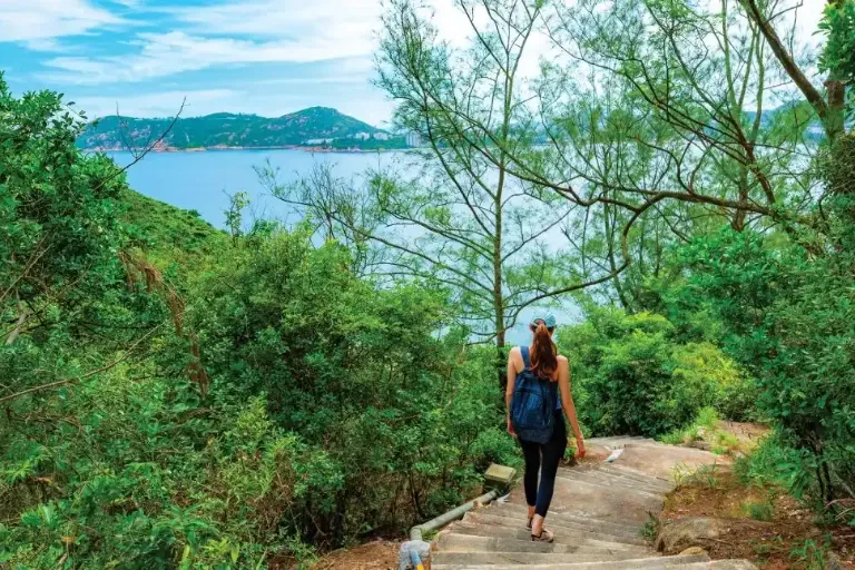 Dragon’s Back Hike: Hong Kong’s Most Scenic Coastal Trail Near Cosmo Hotel