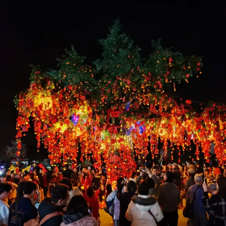 Lam Tsuen Wishing Trees