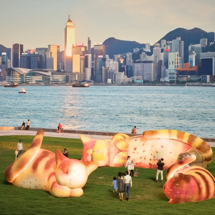 WestK FunFest 2026: Air Giants – The Cats that Slept for a Thousand Years