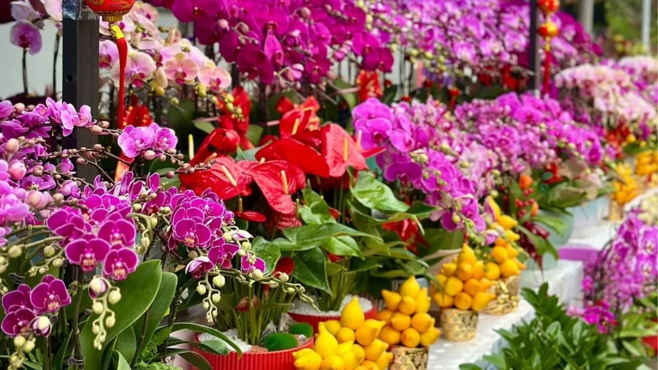 2026 Lunar New Year Fairs