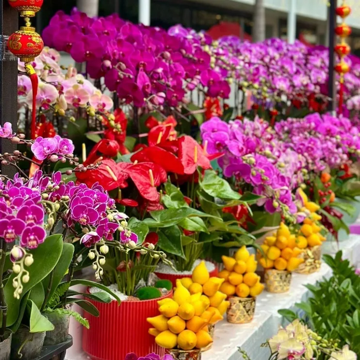 2026 Lunar New Year Fairs