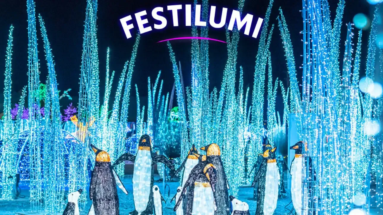 Festilumi