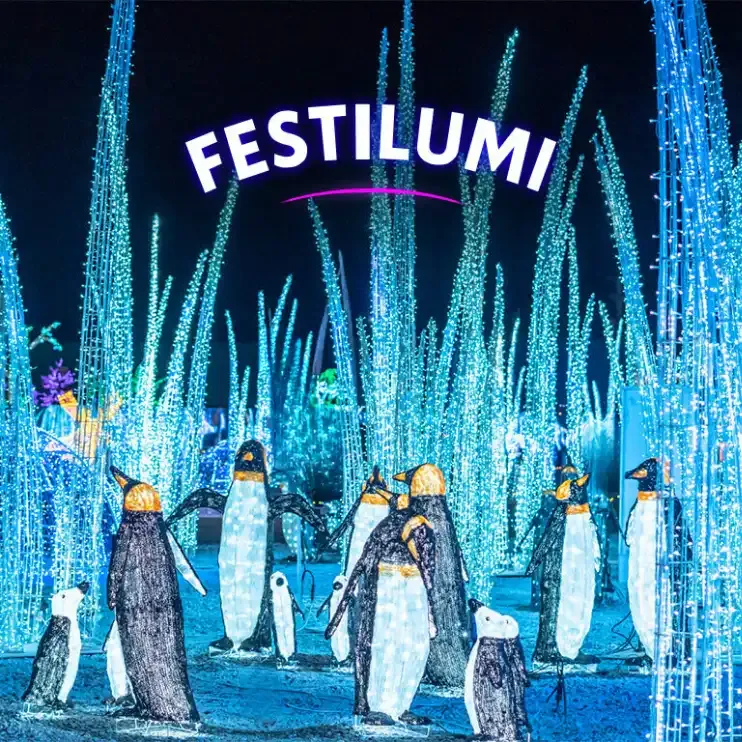 Festilumi