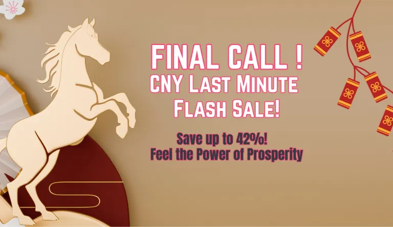 Year of Horse - New Year Offer